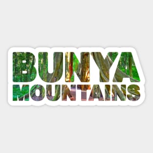 BUNYA MOUNTAINS - Queensland Australia Fig Tree. Sticker